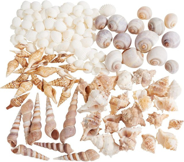 Muschelmix Othmar Decorations in Beige und Natural für maritime Dekorationen - Bild 1