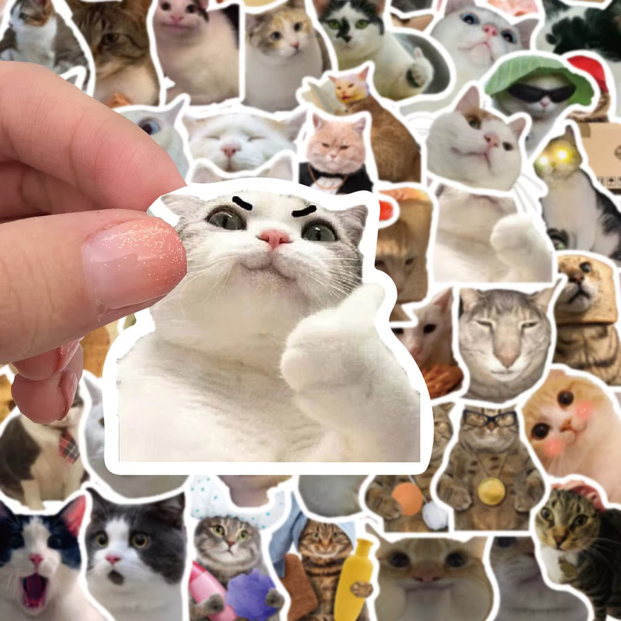 100 Stück wasserfeste Katzen-Graffiti-Aufkleber in Multicolour für DIY-Dekoration von Gitarren, Schreibwaren, Gepäck und Notebooks von AufnahmeYourLife Store - Bild 4