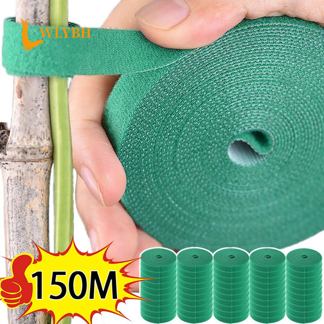 Selbstklebendes Nylon-Pflanzenstützband in Grün zur Befestigung von Pflanzen und als wiederverwendbare Kabelbinder für den Garten - Bild 1