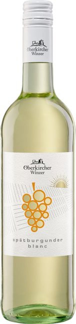 Pinot Noir Spätburgunder Blanc Weißwein, Baden, trocken, 2025, 0,75 l - Bild 1