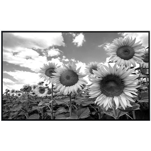 papermoon EcoHeat Infrarotheizung Sonnenblumen Design in Schwarz und Weiss mit Matt-Effekt, App-Steuerung und Überhitzungsschutz - Bild 2