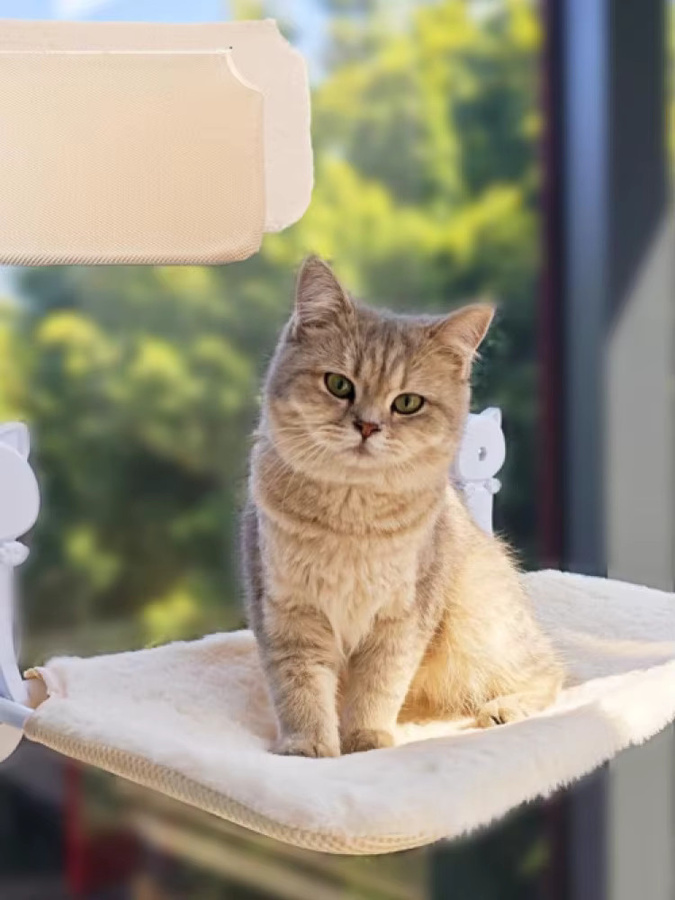 Eelhoe Katze Hängematte Beige mit Saugnapf für Fenster und Balkon - Bild 5
