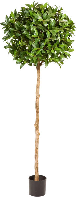 Künstlicher Lorbeerbaum Romy von artplants in Grün, Höhe: 140 cm - Bild 1