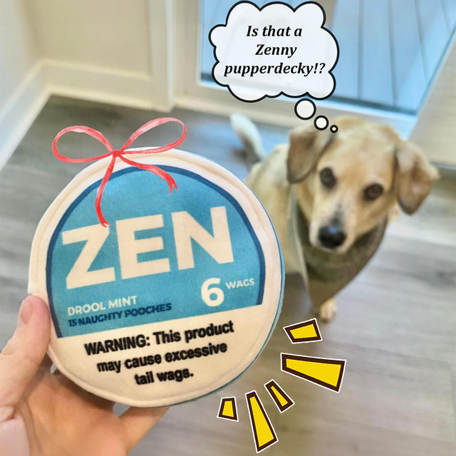 Zen Pupper Deckies Parodie Hundespielzeug, Plüsch, quietschendes und knuspriges Hundespielzeug, Sabbern Mint - Bild 1