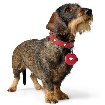 Hunter Anhänger Hundemarken-Etui Love, S, Unisex - Bild 3