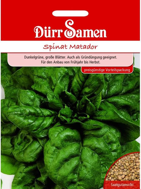 Dürr Spinat Matador Saatgut Vorteilspackung 400 g - Bild 1