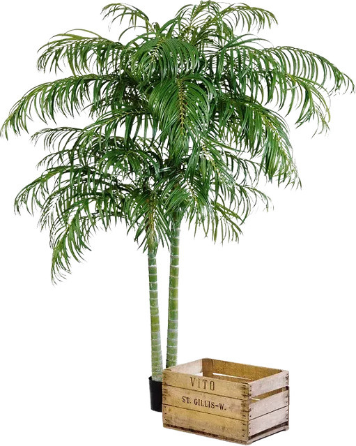 Künstliche Areca Palme Christine von Aplanta, Höhe: 200 cm - Bild 1
