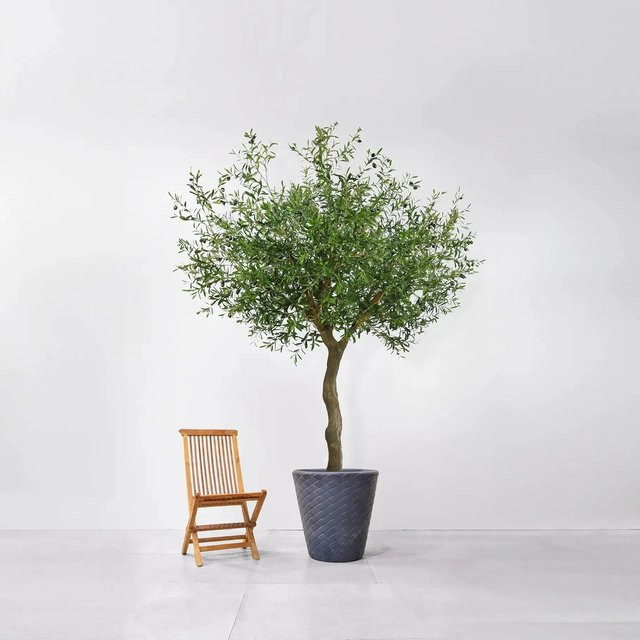 Künstlicher Olivenbaum Annemarie von Aplanta in Grün, Höhe: 230 cm - Bild 1