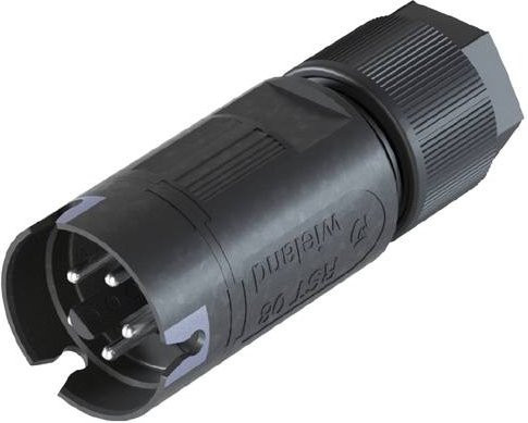 Wieland Electric 4L.052.3041.4 Steckverbinder - Bild 1