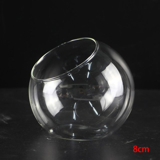VIBRATITE Glas Vase für Micro Landschaft und Sukkulenten Terrarium, Transparent, Rund - Bild 1