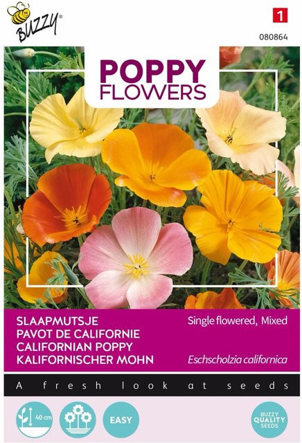 Arborix Kalifornischer Mohn Buzzy Poppy Samen für den Garten, 1 g - Bild 1