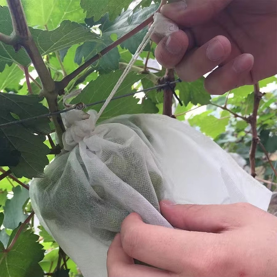 105 Stück Obst-Anti-Insekten-Beutel aus weißem Vliesstoff für den Garten zum Schutz von Trauben, Pfirsichen und Äpfeln von XJM - Bild 4