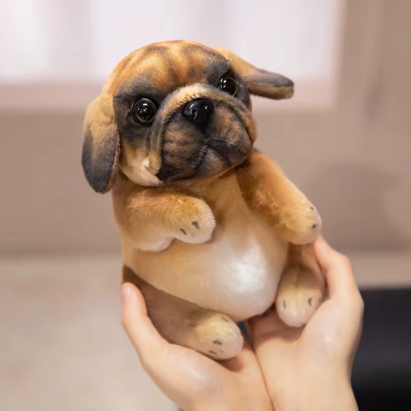 pangcangshu Pudel-Mops-Welpen-Plüschtier, braun, beige - Bild 4