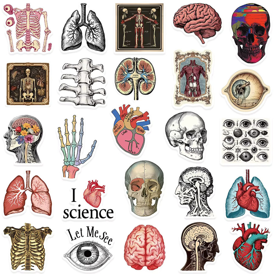 Charile Anatomie Organe Aufkleber, Cartoon, multicolour - Bild 5