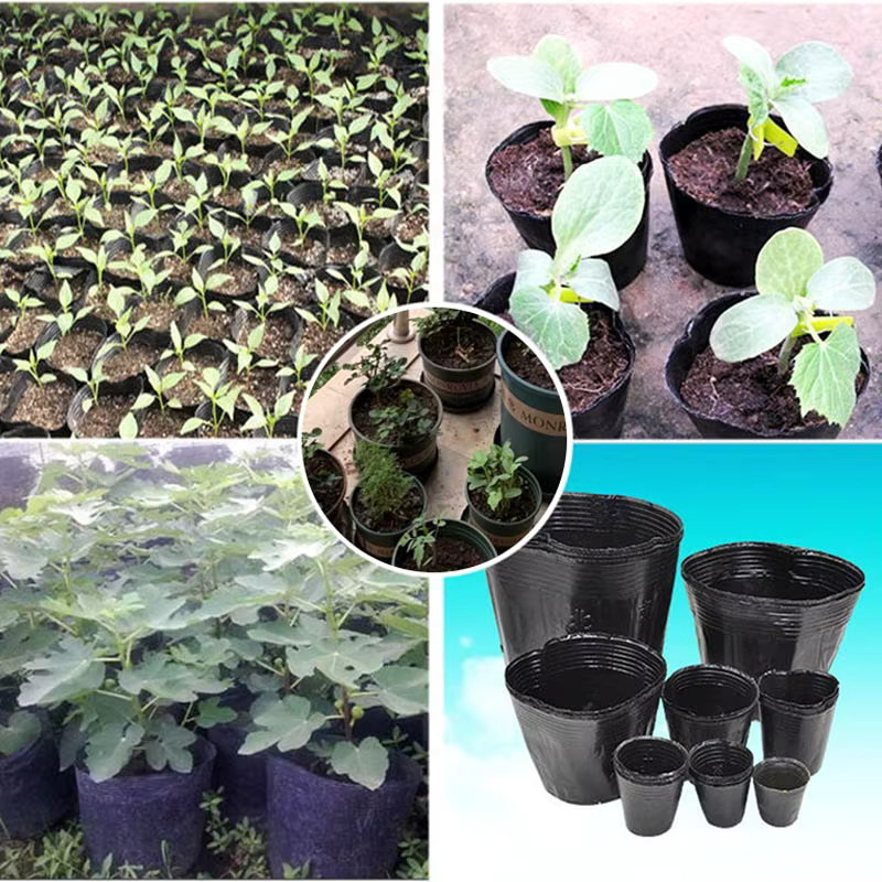 100 Stück schwarze Kunststoff-Sämlingstöpfe zur Samenkeimung und für die Gartenarbeit - Bild 3