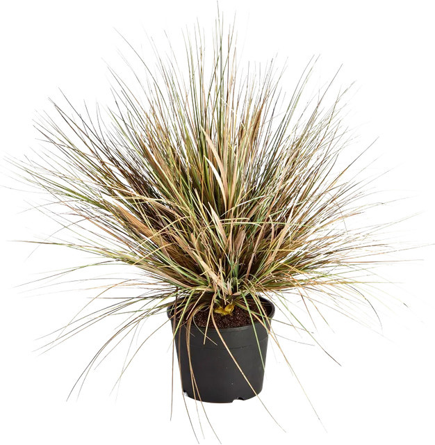Künstliches Gras Mathilda von Aplanta, Höhe: 65 cm - Bild 1