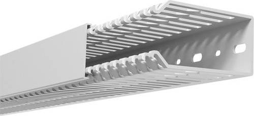GGK N1688 Verdrahtungskanal aus Kunststoff in Stein-Grau, L x B x H: 2000 x 40 x 60 mm - Bild 1