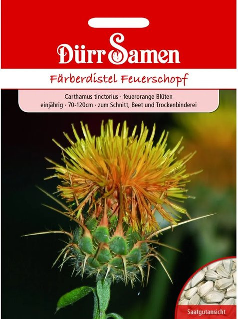 Dürr Färberdistel Feuerschopf Einjährig Saatgut für Freiland und Trockenbinderei 50 g - Bild 1