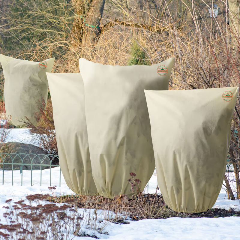 Pflanzenschutzhaube 3er-Set in Beige, B/T/H: 2 x 2 x 2,4 m - Bild 2