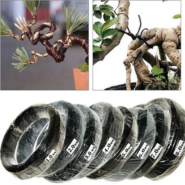 Bonsai-Linie Pflanzenstütze aus eloxiertem Aluminium in Schwarz, 5 m Trainingsleine zur Pflanzenformgebung für den Garten - Bild 1