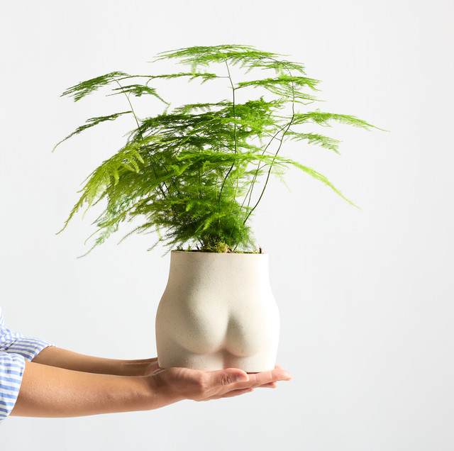 BLUME2000 Tischaufsatz Bootylicious aus Keramik in Weiß und Grün - Bild 1