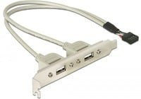 Delock Slotbracket USB 2.0 Erweiterung mit 2x USB-A Buchsen für internen 10-Pin Header - Bild 1