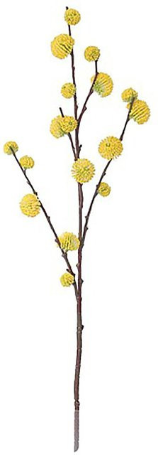 Mica Decorations Distel in Gelb, Höhe: 73 cm - Bild 1