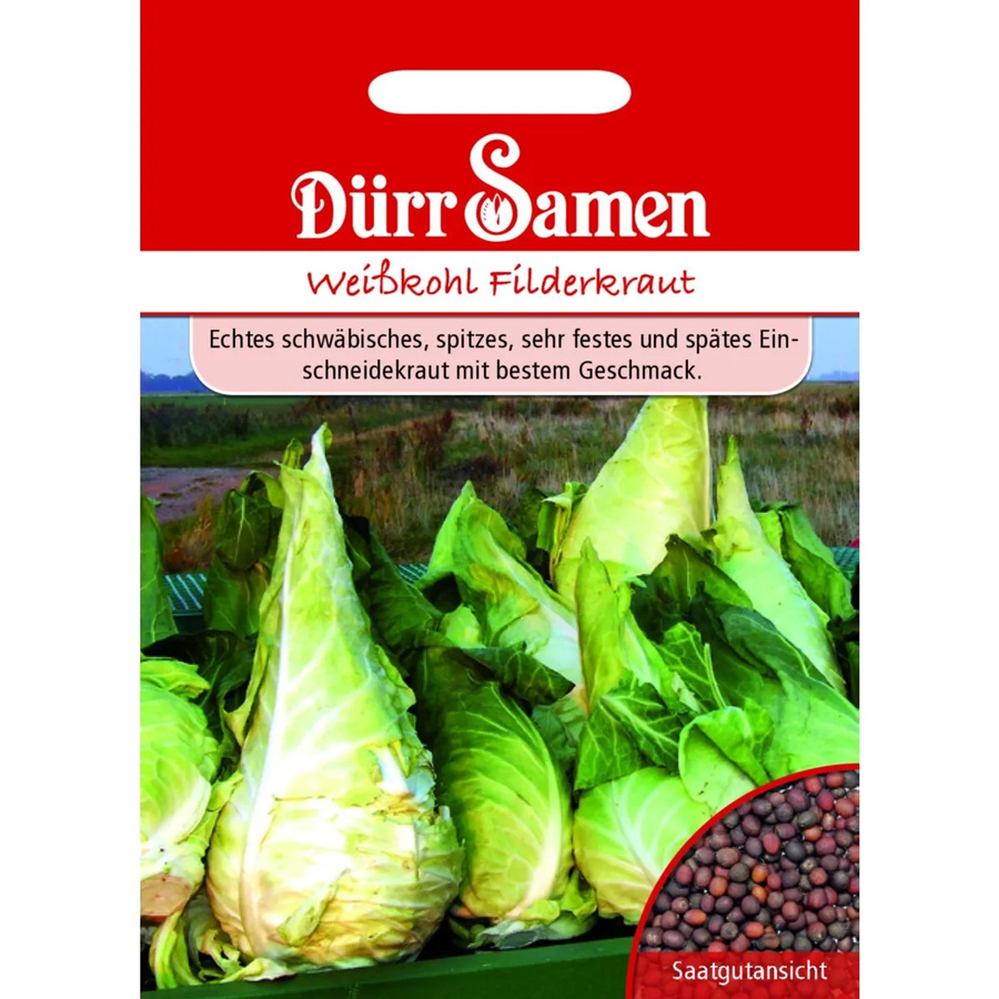 Dürr Weißkohl Spitzkraut Saatgut für Gemüse - Bild 2