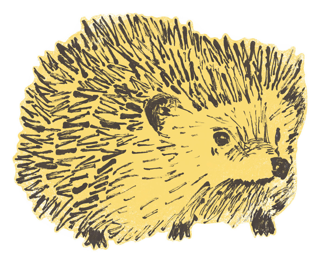Wandsticker Hedgehog von Sian Zeng in Gelb - Bild 1