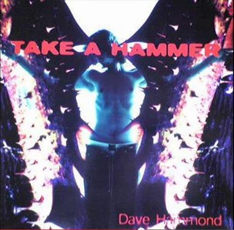 Dave Hammond - Take A Hammer 12-Zoll Vinyl LP von Time Records (1995) Electronic Dance Music - Bild 1
