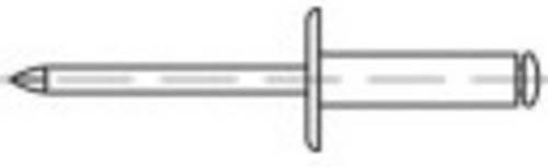 TOOLCRAFT 160144 Offene Blindniete aus Aluminium und Stahl, Farbe: Silber, Durchmesser: 5 mm, Länge: 30 mm, 100 Stück - Bild 1