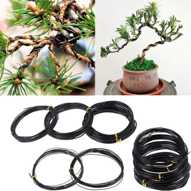 Bonsai Draht aus eloxiertem Aluminium in Schwarz zur Pflanzenunterstützung und Formgebung, 5m Länge - Bild 1