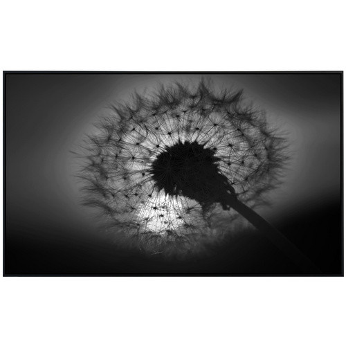papermoon EcoHeat Infrarotheizung mit Blumenmuster in Schwarz und Weiss, Matt-Effekt, Multicolor, mit App-Steuerung und Überhitzungsschutz - Bild 2