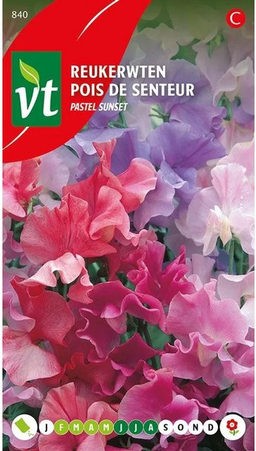Arborix Duftwicke Pastell Mix Saatgut mit bunten Blüten, 4 g - Bild 1