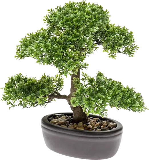 Künstlicher Ficus Bonsai Yui von Aplanta, Höhe: 32 cm - Bild 1