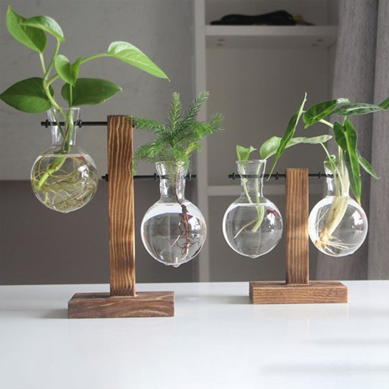Kreative Glühbirnen Vase aus Glas mit Holzständer für Hydrokultur und Schnittblumen, transparent und rund, im skandinavischen Design - Bild 1