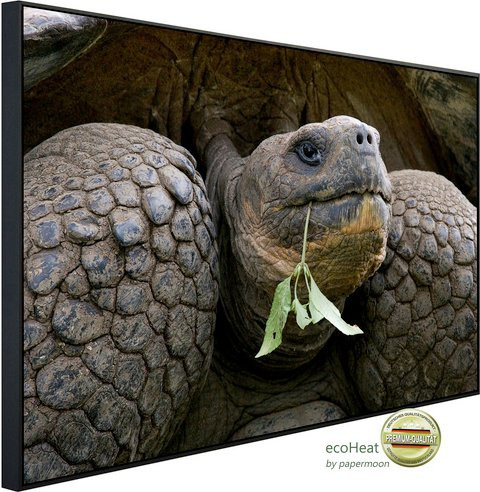 papermoon EcoHeat Infrarotheizung Riesenschildkrötenporträt mit Matt-Effekt in Bunt, App-Steuerung und Überhitzungsschutz - Bild 1