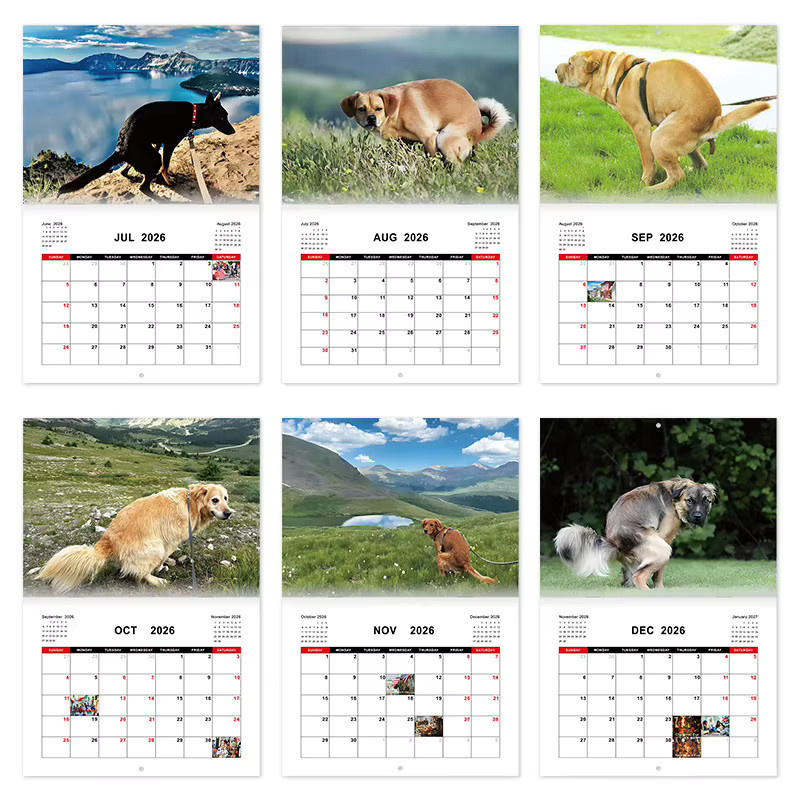 Wandkalender 2026 mit Hundemotiven als kreativer Planer für tägliche, wöchentliche und monatliche Organisation in Mehrfarbig - Bild 4
