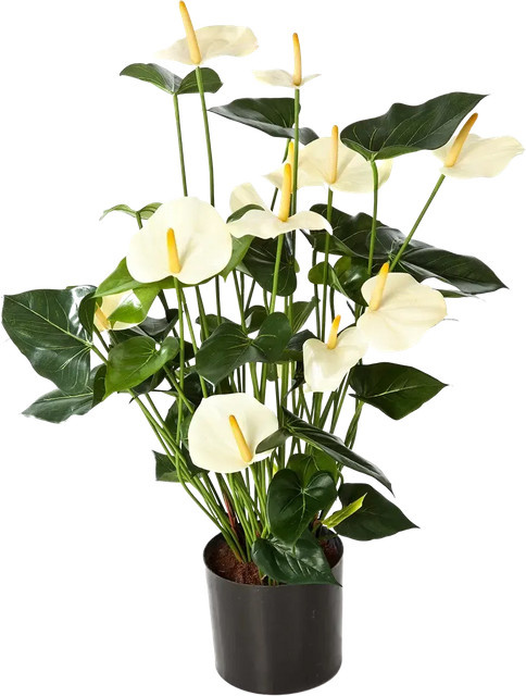 Künstliche Flamingoblume Zenta von Aplanta, Höhe: 78 cm - Bild 1