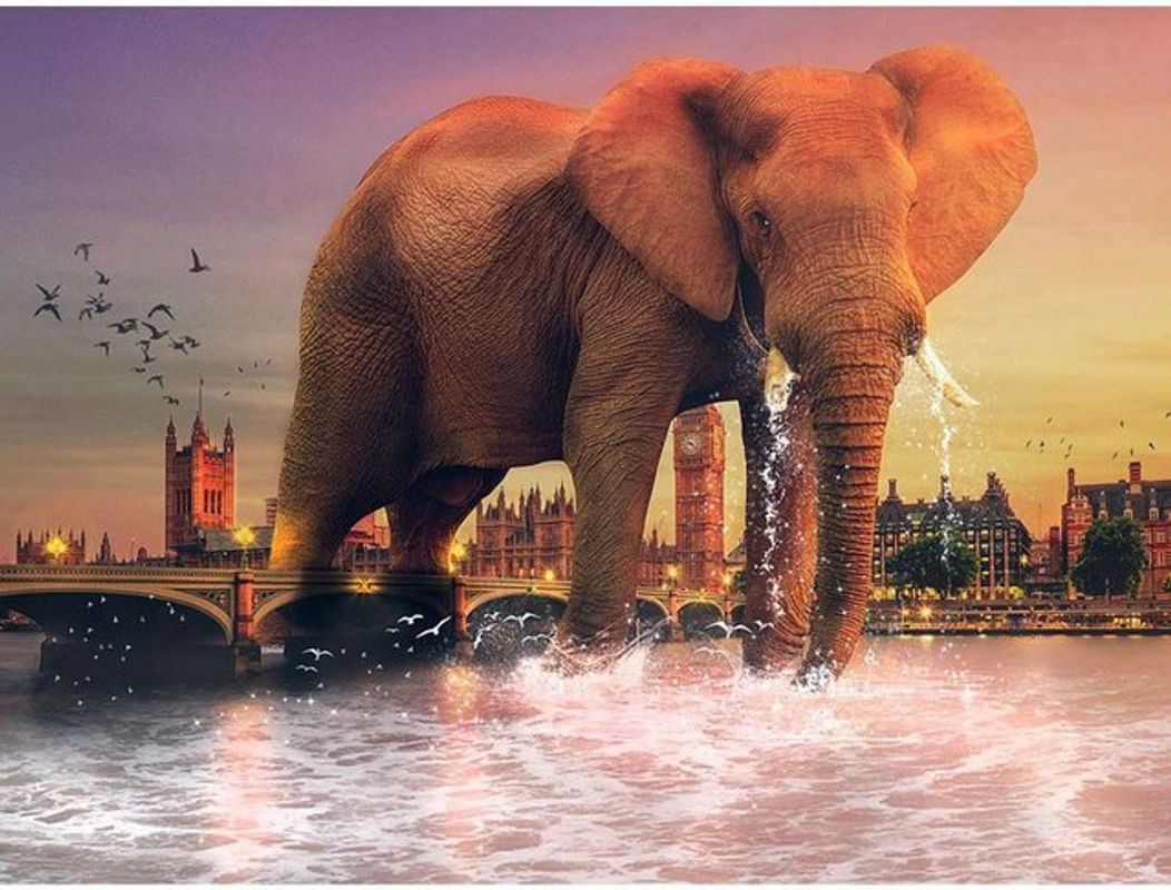 FIYO Diamond Painting Elefant DIY Set mit Strass und Kreuzstich als Tierprint Dekoration, mehrfarbig, B/H: 30 x 20 cm - Bild 1