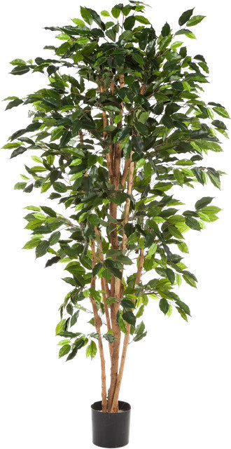 Künstlicher Chinesischer Ficus Ismail von artplants in Grün, Höhe: 120 cm - Bild 1