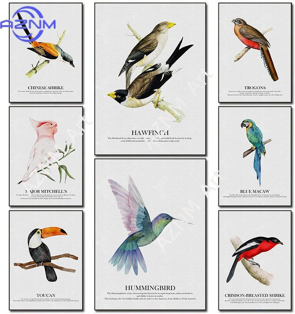 KAYOU Leinwandgemälde mit bunten Vogelmotiven Kolibri und Blauer Ara als Wandkunst zur Heimdekoration in Blau und Multicolour - Bild 1