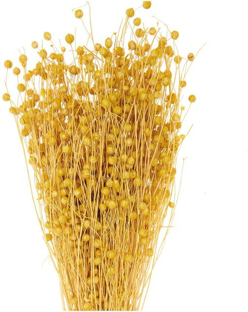 Rico Design Getrockneter Flachs Gelb 100g - Bild 1