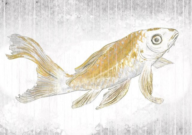 Komar Fototapete Vlies Golden Koi in Gold, B: 400 cm, H: 280 cm - Bild 1