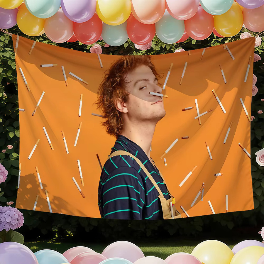 Mac Demarco Flagge von Warner Bros. als Wandkunst und Dekoration für Innen- und Außenbereiche B: 60,0 cm, H: 40,0 cm - Bild 2