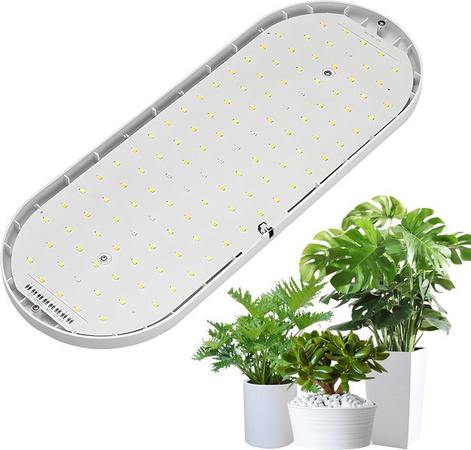 GoolRC LED-Wachstumslicht Vollspektrum in Weiß mit 10 W, dimmbar und integriertem Timer für Zimmerpflanzen
