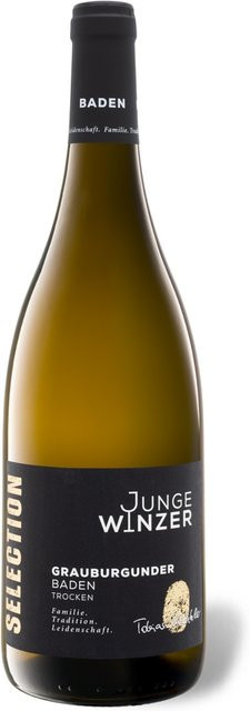 Junge Winzer Selection Grauburgunder trocken Weißwein 2024 0,75 l - Bild 1