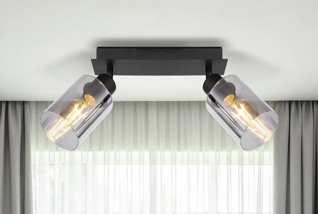 Globo Strahler Hadera 2-flammig Schwarz matt Rauchfarben B/T/H: 27,0 x 9,0 x 21,5 cm - Bild 1