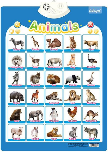 Binchi Outdoor Product Sprechendes Alphabet-Poster, Lern-Wandkarte, ab 0 Jahre - Bild 1