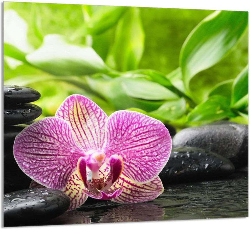 Glaspanel für die Küche mit Orchideen-Design, mehrfarbig, B: 65 cm, H: 60 cm - Bild 5